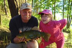 Linek2011