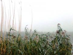 wędkarze We mgle