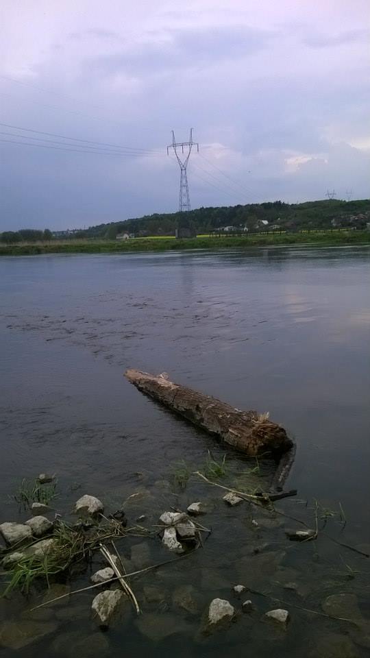 pre_1422962173__ostroga.jpg