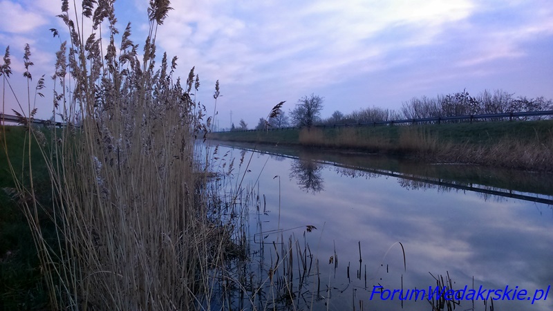 Więcej informacji o „Puchar ForumWedkarskie.pl - drugie spotkanie.”
