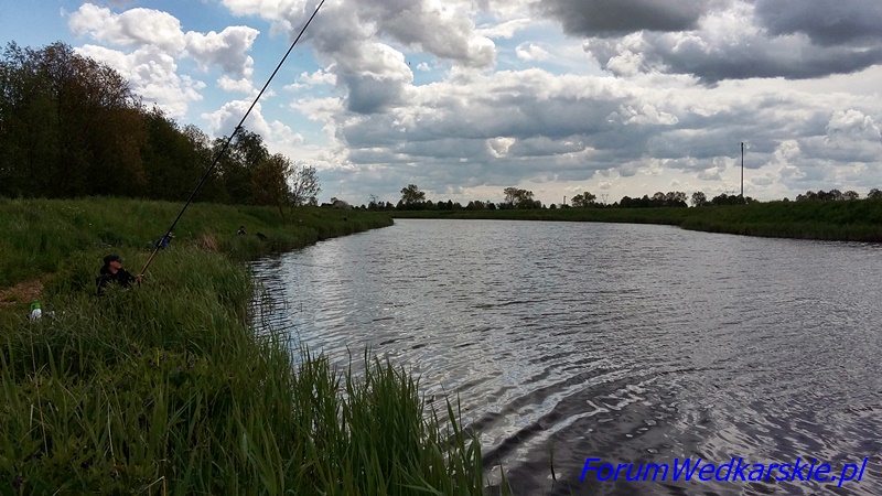 Więcej informacji o „Pierwsza edycja zawodów o Puchar ForumWedkarskie.pl”