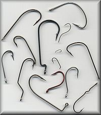 Więcej informacji o „Budowa haczyka”