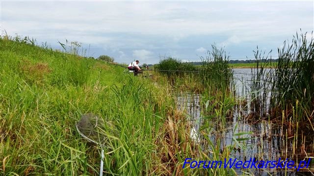 Więcej informacji o „XXII memoriał Romana Banaszkiewicza.”