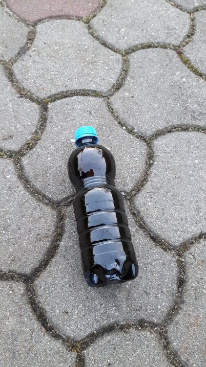 20170322_175439.jpg