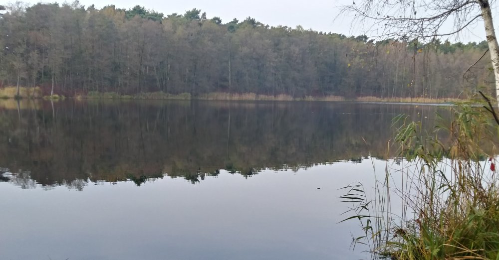 20171104_132037_HDR~2.jpg