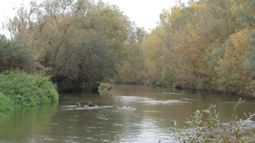 103_0002 — kopia (5).JPG