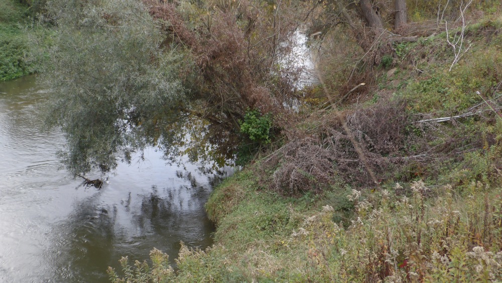 103_0004 — kopia (3).JPG