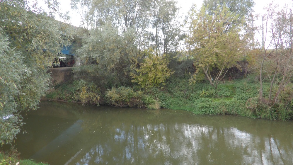 103_0005 — kopia (2).JPG