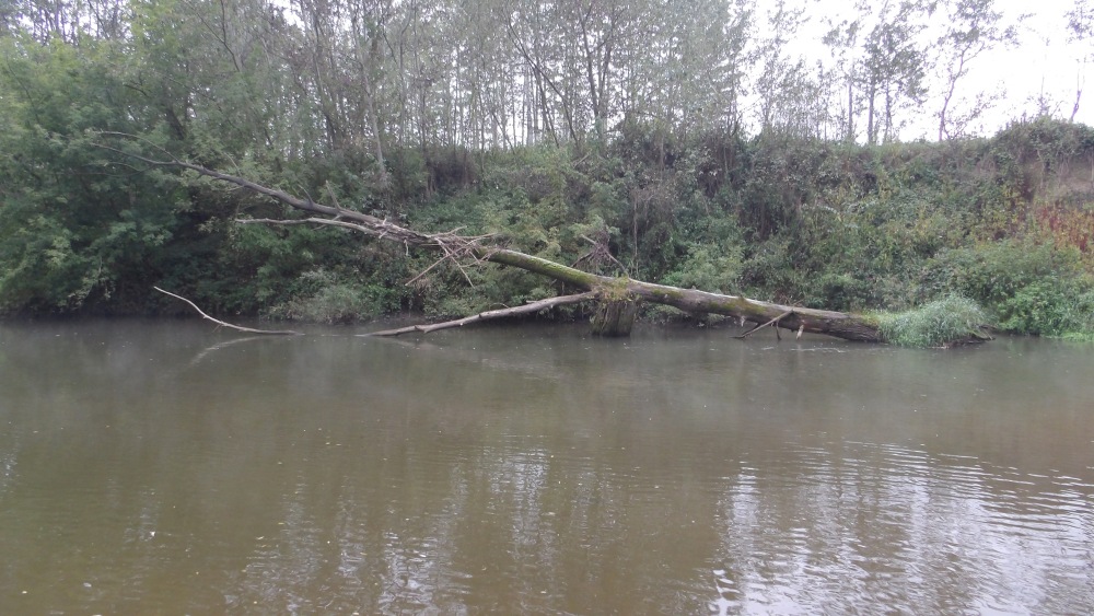 103_0002 — kopia (2).JPG