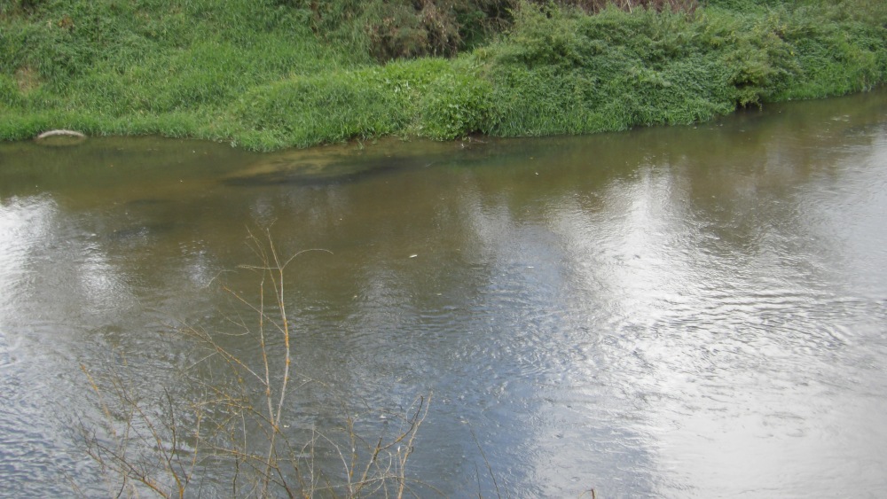 103_0003 — kopia (3).JPG