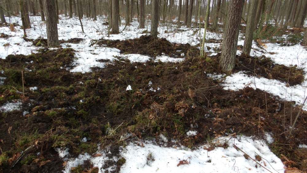 103_0009 — kopia.JPG