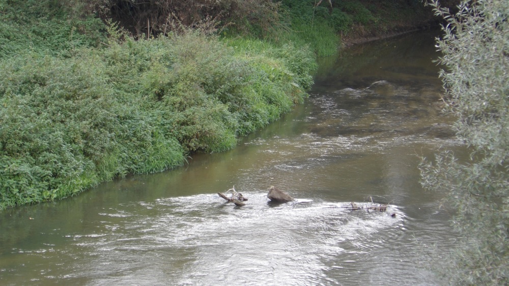 103_0007 — kopia (2).JPG